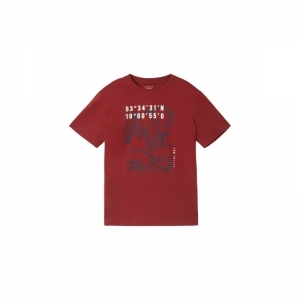 000000 101010 [printed t-sh] 13721 burgundy 