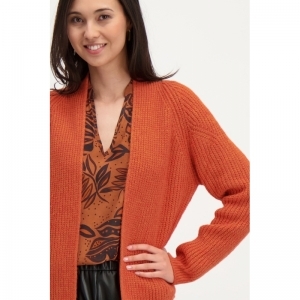 000000 CARDIGAN - GILET 44 orange