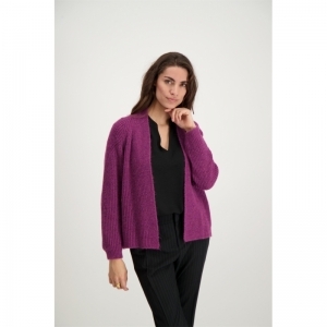 000000 CARDIGAN - GILET 9 purple