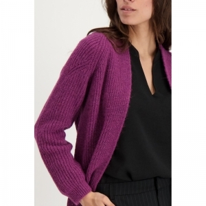 000000 CARDIGAN - GILET 9 purple