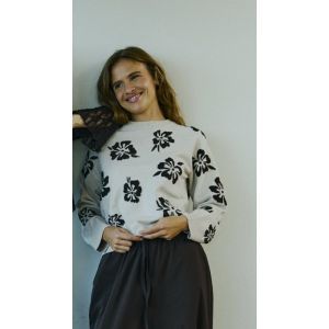 FQALPI-PULLOVER 8882 Moonbeam w